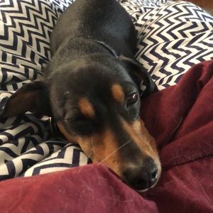 Meet your Posher, Ethan